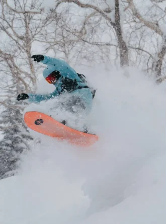 Snowboard Burton Family Tree 3D Deep Daze