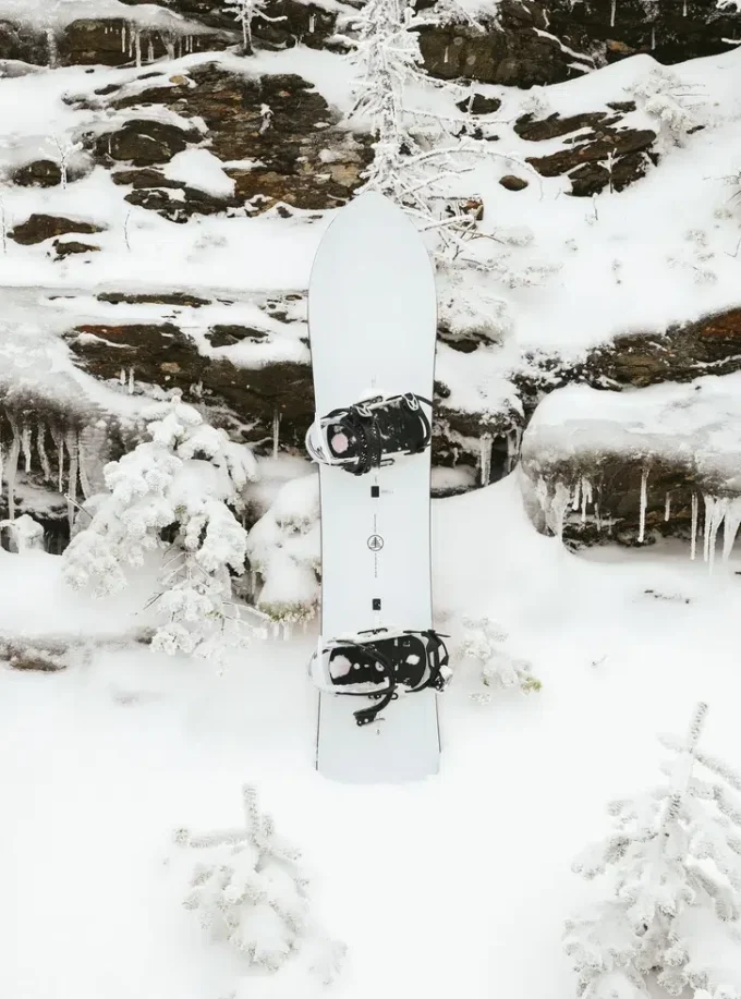 Snowboard Burton Family Tree 3D Deep Daze Snowboard Burton Family Tree 3D Deep Daze