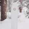 Snowboard Burton Family Tree Backseat Driver Pow Surfing Snowboard Burton Family Tree Backseat Driver Pow Surfing