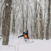 Snowboard Burton Family Tree Resonator Pow Surfing
