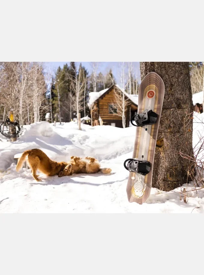 Snowboard Burton Fish 3D Directional Flat Top
