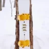 Snowboard Burton Process Camber da uomo Snowboard Burton Process Camber da uomo